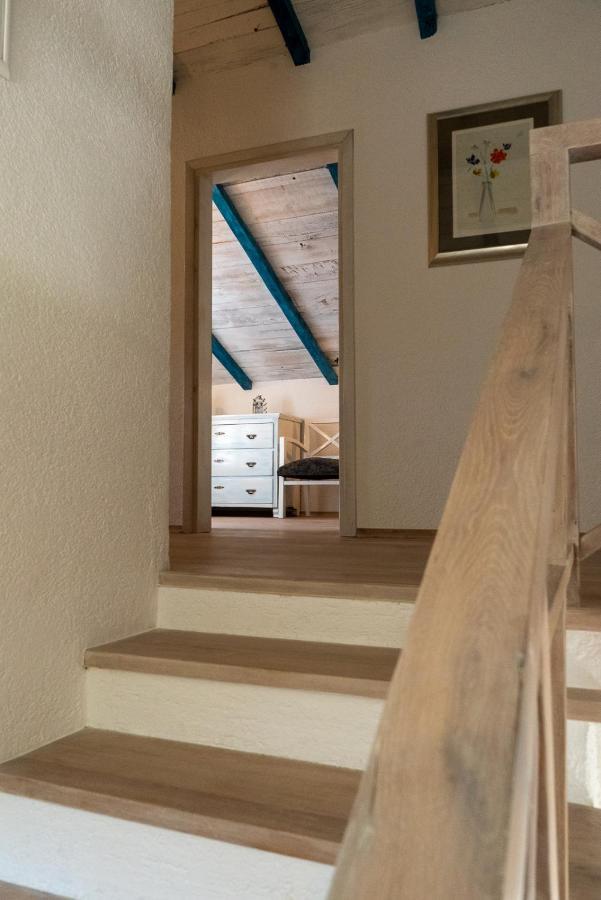 Julijud, Heated Pool, Jacuzzi, Dome And Sauna Brajkovici (Pazin) Exterior foto