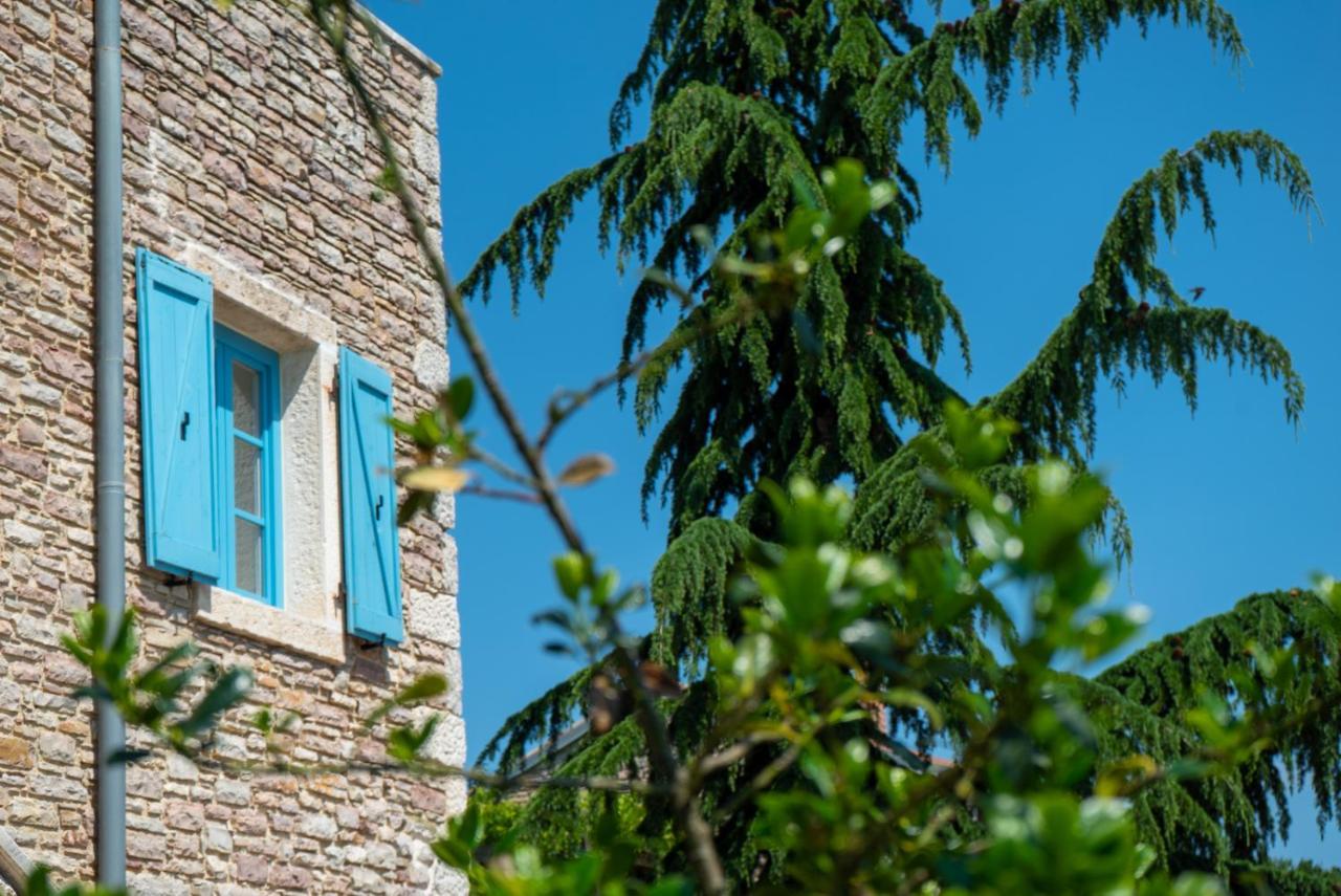 Julijud, Heated Pool, Jacuzzi, Dome And Sauna Brajkovici (Pazin) Exterior foto